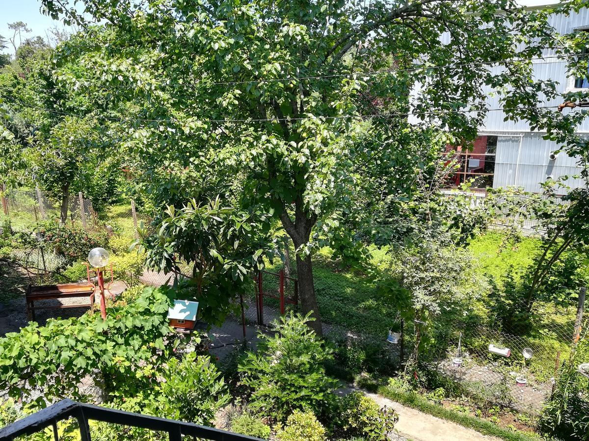 Guest House Of Givi Kobuleti Dış mekan fotoğraf
